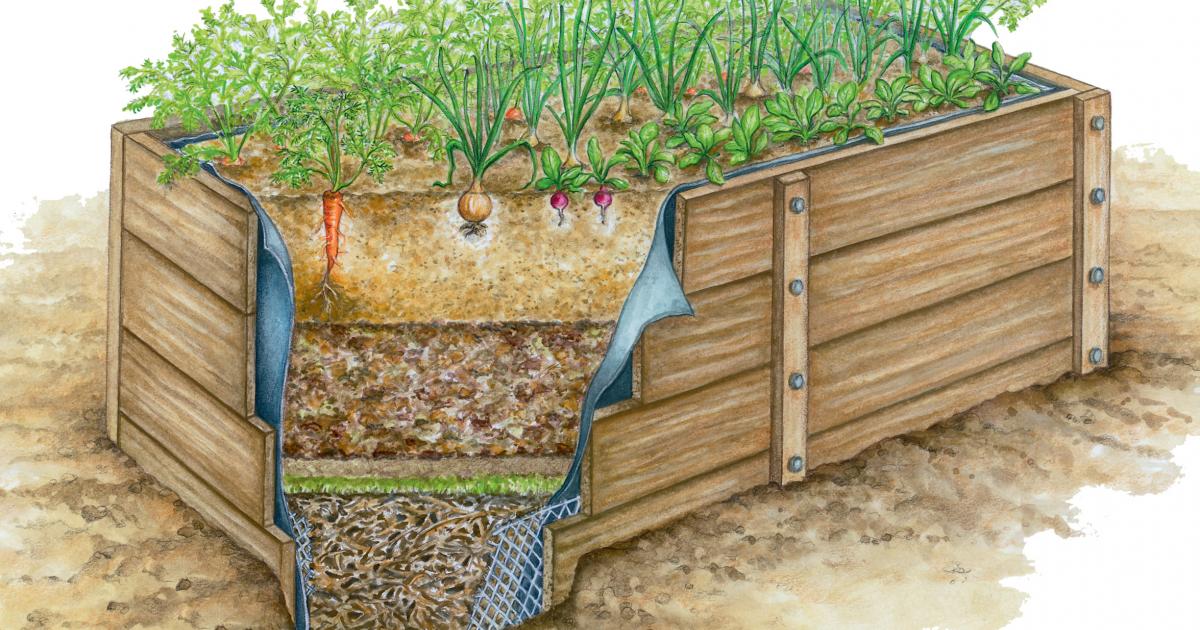 Virágágyás fa magaságyás Weka 669 - Image 3