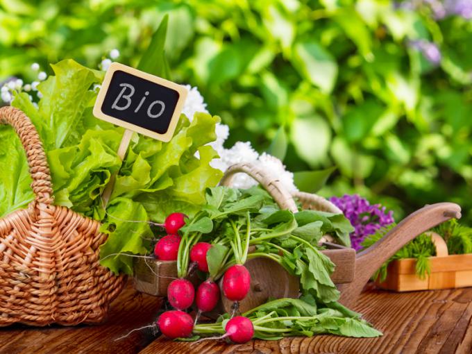 Virágágyás fa magaságyás Weka 669 - Image 4